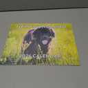 Newfoundland Calendar 2026 Newfie Monthly Wall Calender 12 Month | American Made In The USA