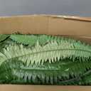 48In Artificial Boston Ferns Bush, Set of 2 Large Faux Ferns Plants, 67 Branches Fake Ferns for Home Living Room Decor, Indoor and Outdoor