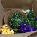 2 Set Artificial Outdoor Flowers with Hanging Baskets,24 Pcs UV Resistant Faux Petunias Flowers with Hanging Planter for Front Door Porch Spring Outside Decor (2, White,Yellow,Purple,RedViolet)