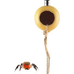 NANEEZOO Spider Hide Magnetic Jumping Spider Habitat Made of Natural Gourd, Handmade Insect Hideout Enclosure Accessories, Cute Decoration for Terrarium Cage