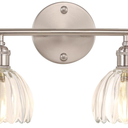 Shenmoyl Bathroom Light Fixtures, 2-Light Vanity wall Light Over Mirror with Clear Tulip Glass Shade for Bedroom Living Room (Bulb Not Included), Satin Nickel