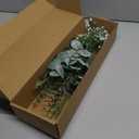 Serwalin 50 Pcs Mixed Artificial Eucalyptus Stems,Babys Breath Artificial Flowers Bulk with Faux Eucalyptus Leaves Greenery Stems for Wedding DIY Bouquets Floral Arrangement Home Decor