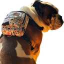PawLook Dog Backpack to Wear with Chest Harness Self Carrier dogbag with Additional Pocket for Poop Bag Anti Slip Stylish Dog Bag for Your pet Street Smart Serie White Bone Medium