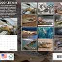 Crocodile Calendar 2026 Monthly Wall Calender 12 Month Crocodiles Gifts For Croc Lovers | American Made In The USA
