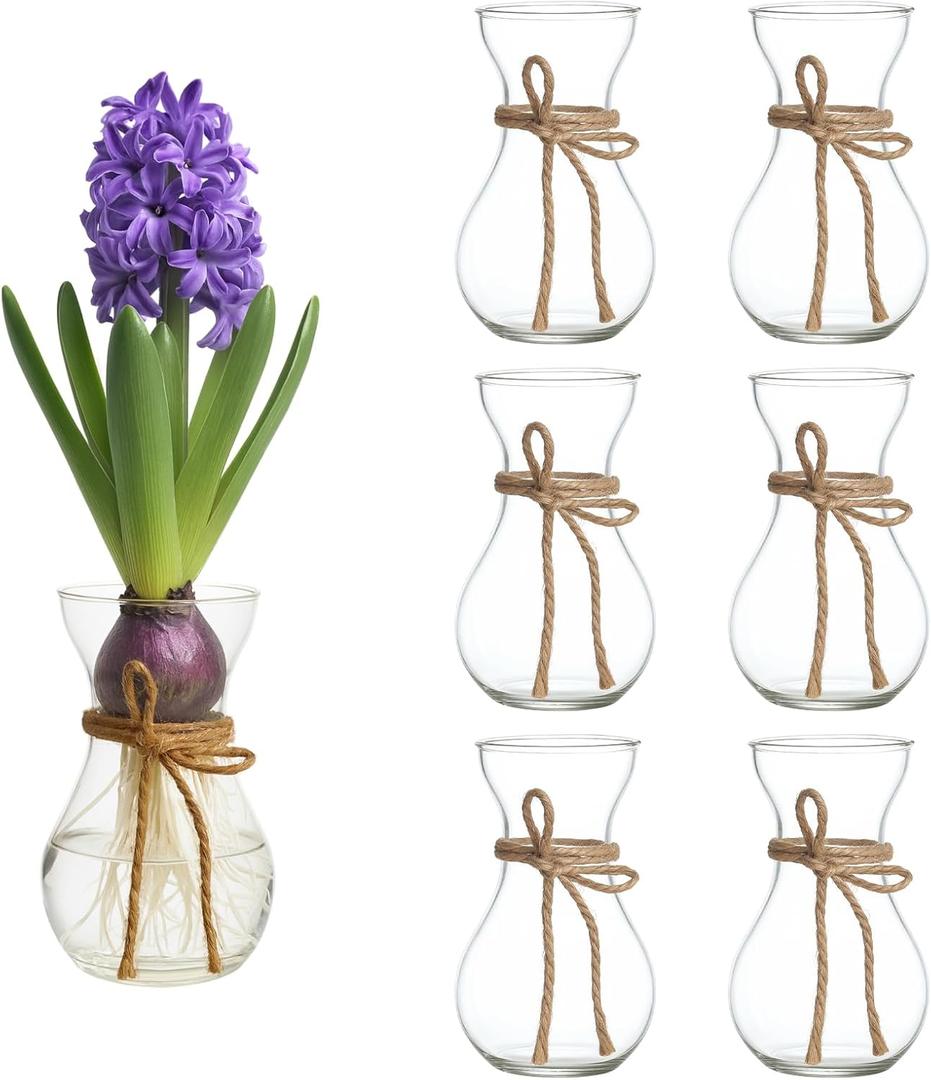 6Pcs Small Glass Hyacinth Vases Set - Clear Mini Bud Flower Vases with Twine Ropes for Home & Wedding Table Centerpieces Decor, Bulb Forcing, Avocado Planting