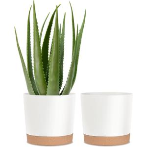 kubvici Plant Pots for Indoor Plants, 2 Pack 10 Inch Plant Pot Plastic Flower Pots Planters with Drainage Saucer for Indoor Outdoor Garden Home (10" White)