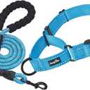 haapaw 2 Packs Martingale Dog Collar with Quick Release Buckle Reflective Dog Training Collars for Small Medium Large Dogs (L-Martingale collar, blue, Martingale Collar+Leash)