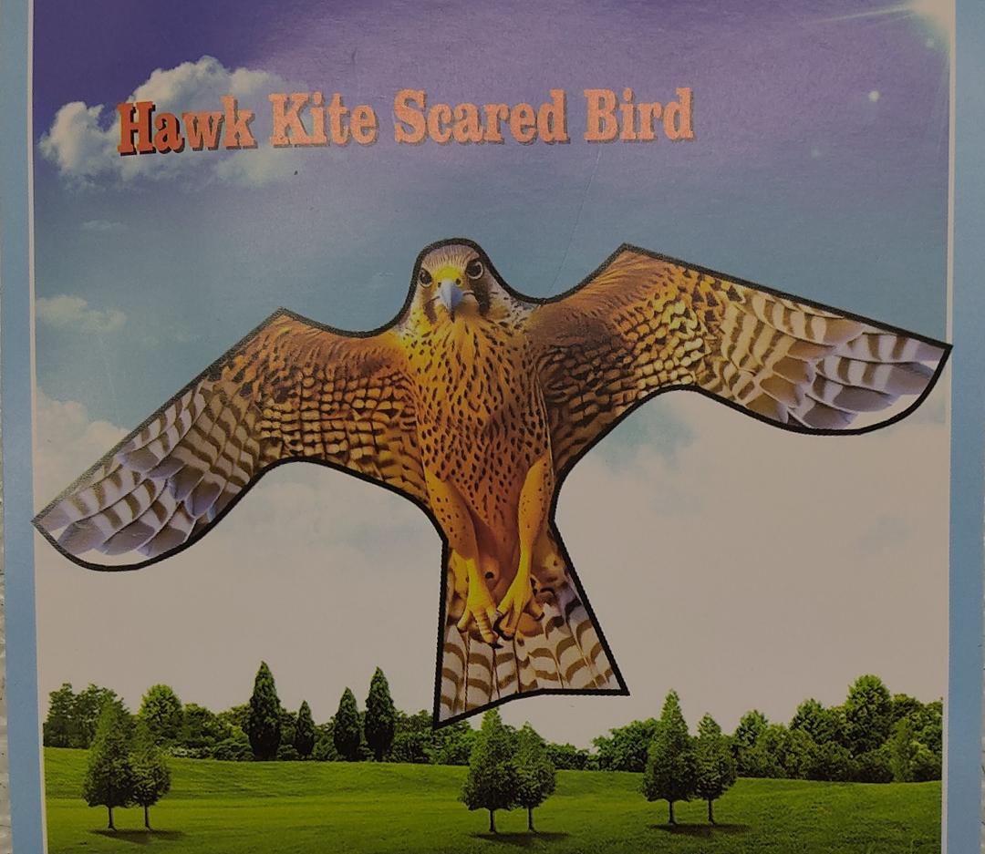 Touch the sky Yellow Bird Falcon Kite with 4 Metres Telescopic Pole. Suitable for Garden and Farm and Field for Bird Control and Crop Protection, Easy to Install, Safe and Effective.