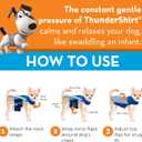 ThunderShirt Breeze for Dogs, Medium, Aqua, Extra Breathable Mesh Fabric, Dog Anxiety Relief Vest for Every Day Stress & Calming During Thunder Storms and Fireworks
