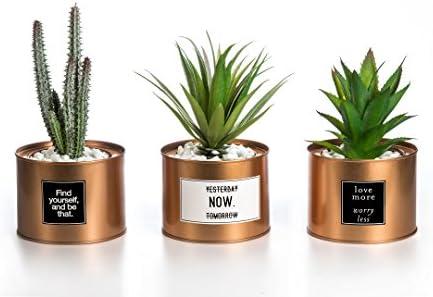 Opps Mini Artificial Plants Plastic Green Grass Cactus with Special Golden Can Pot Design for Home Décor – Set of 3
