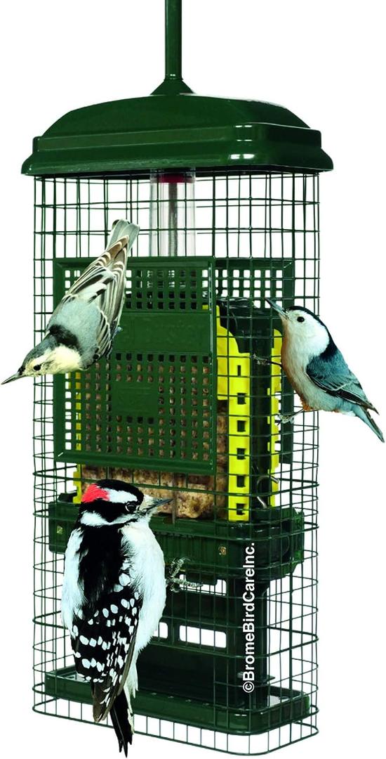 Squirrel Buster Suet Squirrel-Proof Suet Bird Feeder with Two Suet Cake Trays, Two Crumb Ports, Mess-Free Suet Loading, Durable Green Design for Clinging Birds