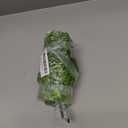 HERCOCCI 2 Pack Reptile Plants, Terrarium Hanging Plants Vines Artificial Leaves Habitat Decorations with Suction Cup for Bearded Dragon Hermit Crab Lizard Snake Geckos Chameleon