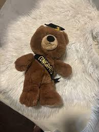 Pack Of 2 Class of 2025 Graduation Stuffed Animal Bears