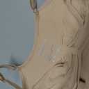 Women Seamless Shapewear Bodysuit with T-Back M/L, Nude Light GS002
