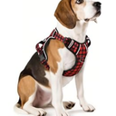 HEELE Dog Harness, No Pull Adjustable Padded Reflective Harness for Small Medium Large Dogs with Handle for Walking Training, Black, M