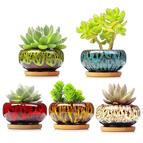LamDawn Cute Ceramic Succulent Garden Pots, Planter with Drainage and Attached Saucer, Set of 5 - Plants Not Included (Vivid Colors)