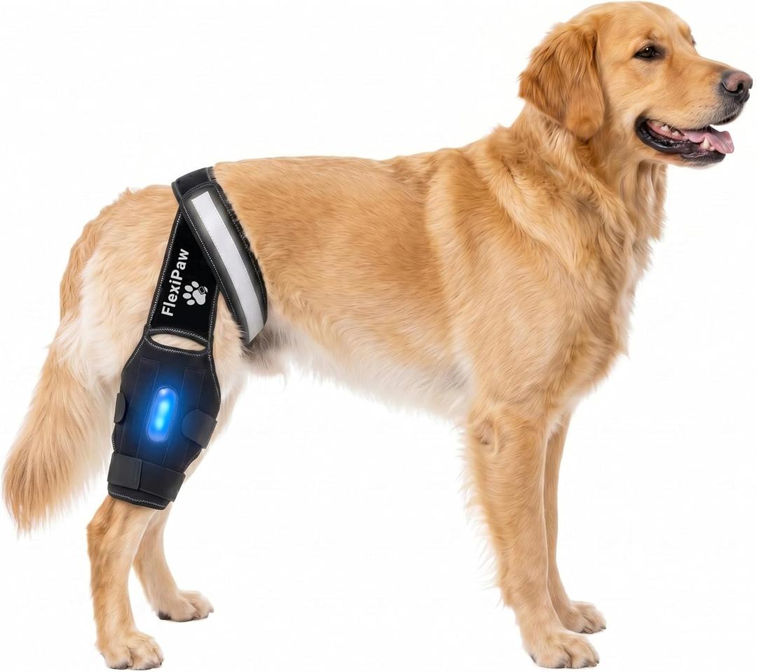 Dog Knee Brace Rear Leg Support with Freezable Gel Pack, Removable Stabilizer Rods, Reflective Straps, for ACL/CCL Injury, Arthritis & Post-Surgery Recovery (Medium)