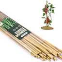 Cambaverd Bamboo Sticks for Plants 2 Feet Bamboo Stakes for Indoor Gardening Plant Stakes Supports Potted Plants Mini Trees Garden Stakes - Pack of 30 Bamboo Poles