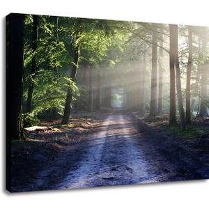 Landscape Canvas Poster Print Wall Art Nature Forest Sunrise Wall Decor Picture Trees Beautiful Scenery Green Theme Painting Artwork for Modern Home Bedroom Kitchen Stretched and Framed [24''Wx18''H]
