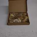 10/12/24/36 Pack Mini Dried Flowers for Vase Wedding Various Mini Bouquet Dried Small Wildflowers Natural Flowers Bulk for Crafts DIY Decor (36, Plain Colour)