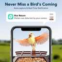 PeckCam Bird Feeder with Camera Solar Powered, AI Identify & Auto Capture, 2K HD Live Video Smart Bird Feeder Camera Instant Notifications in Backyard, Gift Bird Lovers