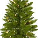 Nearly Natural 2ft. Providence Pine Artificial Christmas Tree in Decorative Planter with 35 Warm White Lights and 51 Bendable Branches (Green)