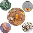 2 x Real Pressed Flowers, Natural Dried Pressed Flowers for Resin Mold, Paper Making, Art Frame Making, Soap, Candle, DIY Craft Supplies Beginner Kits (Fq-cp05)