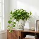 MPotTo Indoor Plant Pot 8.2 Inch - Ceramic Planter with Drainage Hole and Saucer, Boho Round Decorative Flower Pot for Indoor Outdoor Flowers, Plant Lover Gifts, Office Home Garden Patio Decor, White