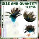 Suncalla 12 Pcs 11.8 Inch Peacock Feather Pick Decorations Peacock Bird Feather Decorations for DIY Craft Wreaths Vases Home Xmas Day Wedding Christmas Tree Party Decor