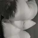 CULVE Bed Pillows Standard Size Set of 4-20x26 Flat Pillows for Sleeping Thin, Medium Support Soft Down Alternative Filling for Side Stomach Back Sleeper (White)