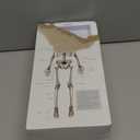 NEW HORIZON 17.7 Human Skeleton Model for Anatomy,Movable Arms Legs Bones Structures,Whole Spine Ribs Skeleton Model,Suitable for Study Display Artificial Limbs for Medical Instruction Purposes