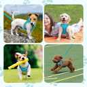 Black Leash Set - No Pull Adjustable Reflective Breathable Mesh Step-in Harness for Extra Small/Small Medium Dogs & Cats - Easy Walk, Outdoor Hiking & Training