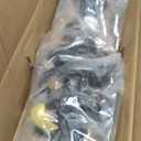 Front Struts Shocks w/Coil Springs Absorbers for Scion XB FWD 2.4L 2008 2009 2010 2011 2012 2013 2014 2015, Strut Shock Suspensions Assemblies Replace for 11421 11422 (Set of 2)