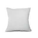 EDOW Throw Pillow Insert, Lightweight Soft Polyester Down Alternative Decorative Pillow, Sham Stuffer, Machine Washable. (Grey, 16x16)