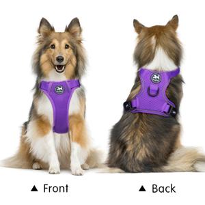 Poypet Vest L