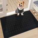 BEQHAUSE Door Mats Indoor 20" x 32", Doormat Non-Slip Entryway Rugs Washable Welcome Mat Low Profile, Absorbent and Dirt Resistant Floor Mats for Front Back Door, Muddy Wet Shoes&Paws, Black
