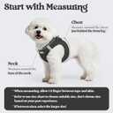 rabbitgoo Dog Harness Small Sized and Leash Set, Step in Soft Light Puppy Vest, Breathable Mesh Pet Harness, Reflective for Safe Easy Walking, Black XXS