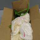 Mkono Peony Artificial Flowers 2 Packs 10 Heads Fake Peonies Flowers with Stems Real Touch Faux Silk Floral Arrangements for Home Table Decoration Party Bride Bouquet Wedding Gifts