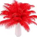 THARAHT Red Ostrich Feathers 24pcs Natural Bulk 10-12Inch 25cm-30cm for Crafts Wedding Party Centerpieces Halloween and Home Decoration Feathers