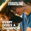 Nutramax Cosequin for Dogs Joint Health Supplement, Contains Glucosamine for Dogs, Plus Chondroitin and MSM, Supports Healthy Joints, Chewable Tablets, 250 Count