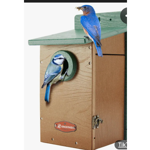 Kingsyard Recycled Plastic Bird House for Outdoor - Durable Nesting Box with Clear View Panel & Predator Guard for Bluebird Wren Swallow Finch, Green & Brown