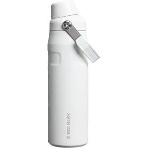 Stanley IceFlow Fast Flow Water Bottle | Angled Spout Lid | Lightweight & Leakproof for Travel & Sports | Insulated Stainless Steel | BPA-Free (24 Ounces, Alpine)