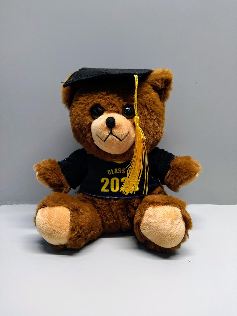 Plush Graduation Teddy Bear – Class Of 2025 With Cap And Gown – Soft Stuffed Animal Gift For Graduates