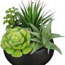 Fake Plants Artificial Succulents in Pots Faux Succulent Arrangement Potted Plant with Black Ceramic Pot for Home Decor Modern Office Desk Bathroom Shelf Living Room Indoor & Outdoor Decoration