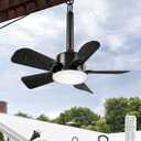 NWOP 20 Inch Plug-In Outdoor Ceiling Fan with Light and Remote, Waterproof Wet Rated Mini Ceiling Fan for Small Spaces, 5 Blade Quiet Compact Ceiling Fan for Patio Balcony Gazebo Porch, Black