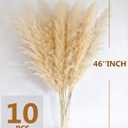 46" inch 10 Stems Natural Pampas Grass Decor Tall, Pompas Grass, Tall Pampas Grass for Weddingm, Farmhouse, Boho Home Decor (Ivory)