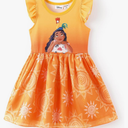 Disney Frozen Elsa Princess Cinderella Ariel Jasmine Rapunzel Baby/Toddler Dress, Ruffle Long-Sleeve Mesh Overlay Tulle Dress Size 3-4Y