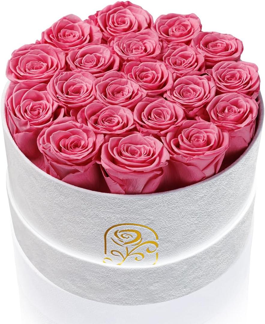 Gifts for Women Preserved Roses Flower Box, Luxury Velvet Box with 20 Roses, Preserved Flowers, Romantic Gift for Her, Wife, Girlfriend, Birthday Anniversary Christmas (Pink)