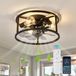 Flush Mount Ceiling Fans with Lights and Remote Control Black Caged Low Profile Ceiling Fan Modern Metal Ceiling Fan for Farmhouse Dining Room Bedroom Kitchen Living Room, 13 inch