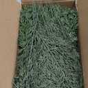 KLEWEE 60 Pcs Artificial Pine Branches Assorted Faux Norfolk Pine Stems Evergreen Pine Picks Cedar Sprigs Fake Christmas Greenery for Christmas Tree DIY Craft Garland Wreath Home Garden Decor